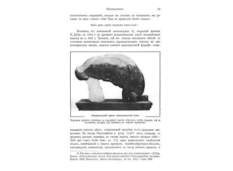 Скелет гориллы