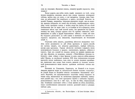 Негр племени дэнка.