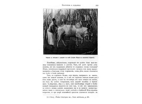 Деревня Ораиби в Аризоне.