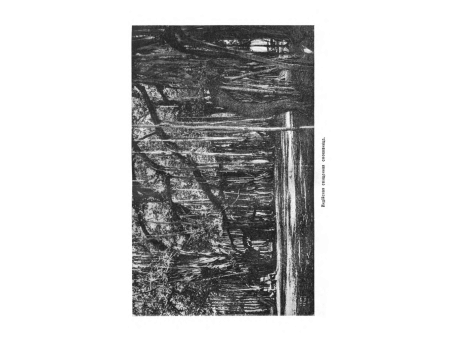 Сарасвати или Вач.