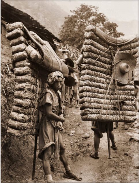 Носильщики чайных кирпичей 1908 г. Южный Китай