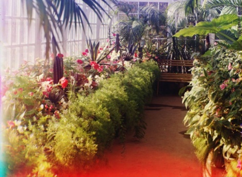 В оранжерее
