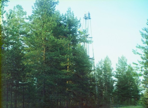 Пожарная лесная вышка