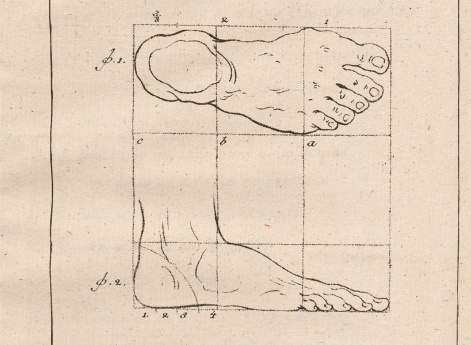 Как рисовать ногу. Иллюстрация из учебника рисования XVIII века