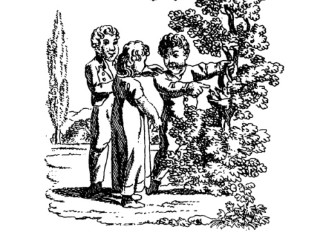 Иллюстрация к рассказу «Найденное птичье гнездо». В книге