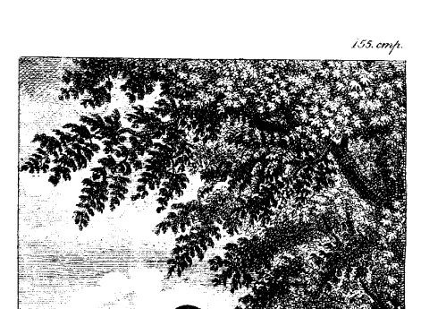 Иллюстрация к рассказу «Честная женщина»