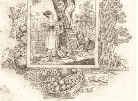 Сентябрь. Иллюстрация в книге