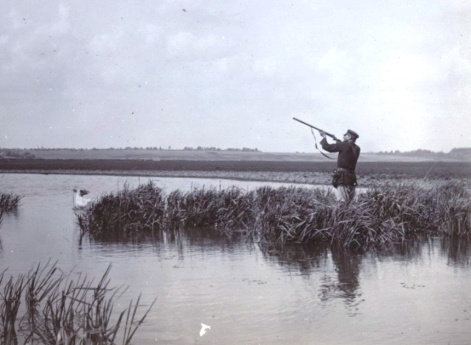 Утиная охота под Муромом.