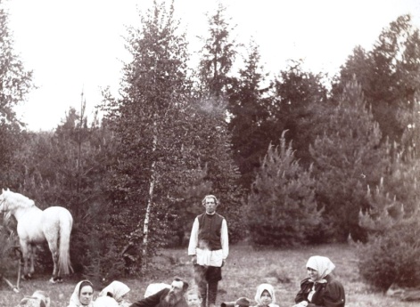 Пикник  на опушке леса. Муром.