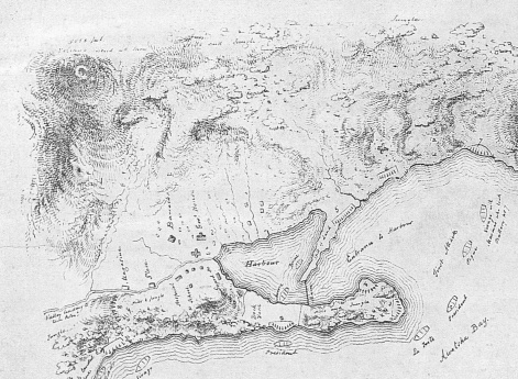 Английский план сражения у Петропавловска