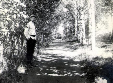 Владимир Масленников на березовой аллее