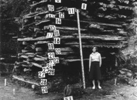 Срез настилов мостовой Черницыной улицы. Новгородская экспедиция.