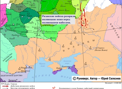 Поход на половцев летом 1206 г.