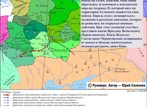 Участие половцев в усобице летом 1206 г.