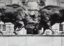 Борющиеся зубры