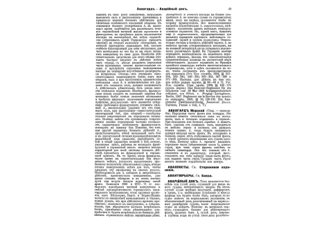 К.В.Комаров в эпоху русско-турецкой войны.