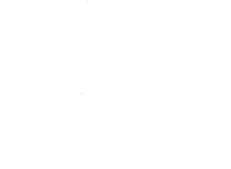 Изображение флагов, подаренных Петром Великим вместе со стругом Архангельскому архиепископу Афонасию в 1695 году.