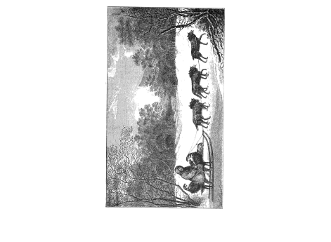 Лопарские сани в виде корыта.