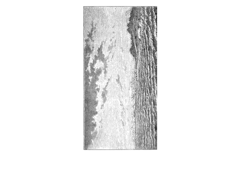 Берег Новой Земли.