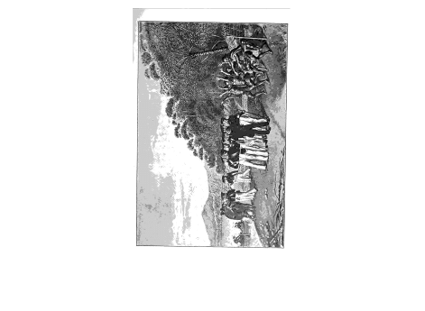 Военная пляска туземцев Новой Зеландии в заливе королевы Шарлоты.