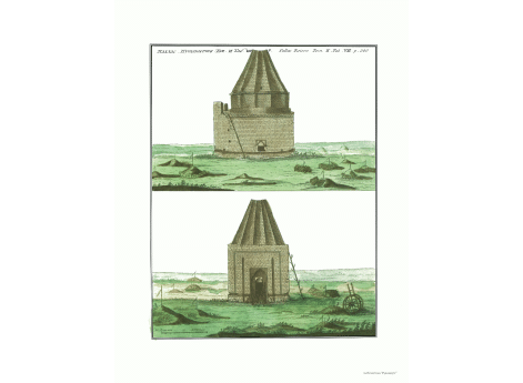 Том II. Таб. VIII. стр.300.