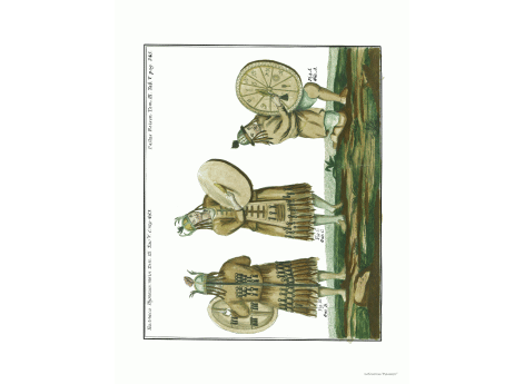 Том III. Таб.V. Стр. 483.