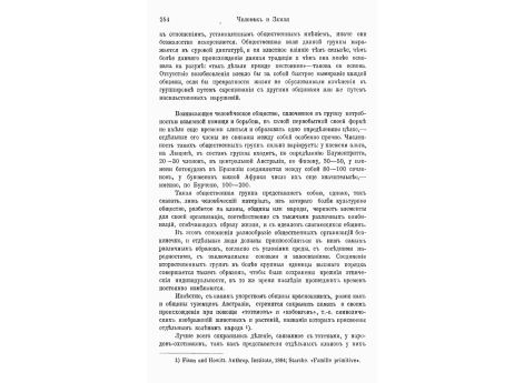 Дагомейская амазонка.