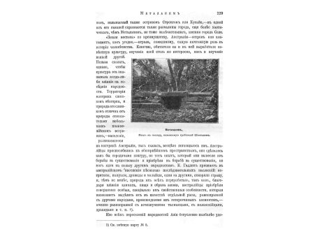 Три грации храма Сивы в Брамбанане (Ява).