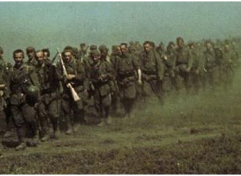 Венгерские войска в донских степях. Лето 1942 г.