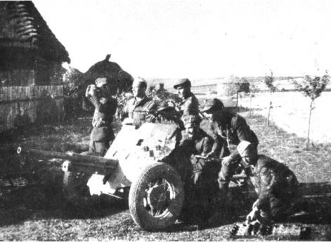 Партизаны-артиллеристы из отряда Армии Крайовой