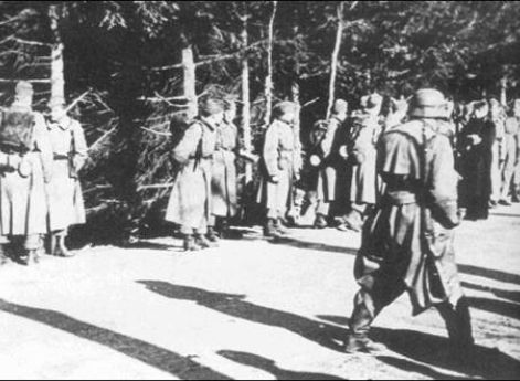 Датские и германские солдаты после объявления перемирия. Апрель 1940 г.