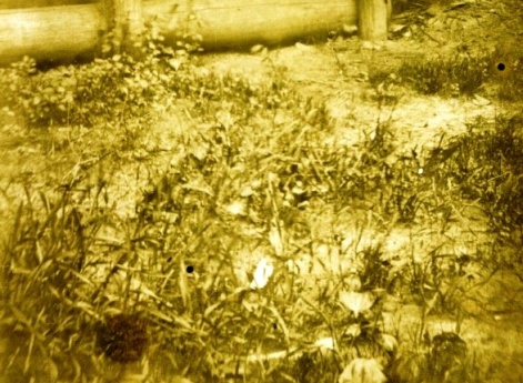 Молодой человек, отдыхающий на лавочке. Муром.