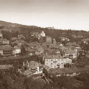 У иноков имяславцев нет оснований к отступлению ради учения об Именах Божиих от Православной Церкви