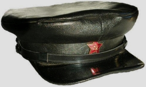 Заключение по следственному делу Ф. А. Степуна