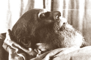 О погребении борца со смертью