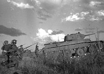 Сообщение ТАСС «Японцы не успокаиваются»